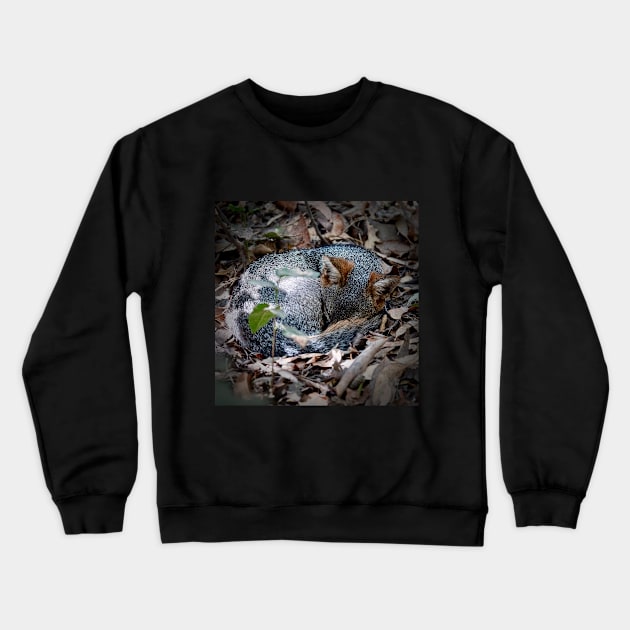 Sleeping fox Crewneck Sweatshirt by WildSideDesigns